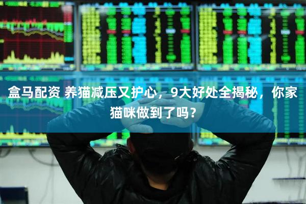 盒马配资 养猫减压又护心，9大好处全揭秘，你家猫咪做到了吗？