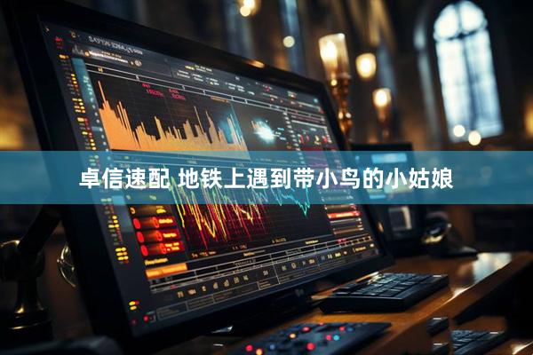 卓信速配 地铁上遇到带小鸟的小姑娘