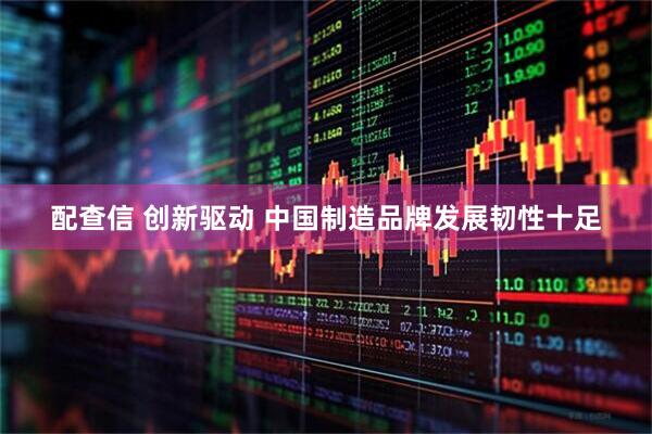 配查信 创新驱动 中国制造品牌发展韧性十足