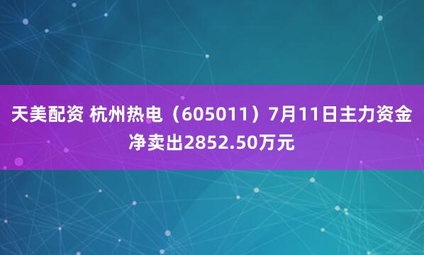 天美配资 杭州热电（605011）7月11日主力资金净卖出2852.50万元