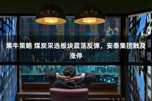 黑牛策略 煤炭采选板块震荡反弹，安泰集团触及涨停